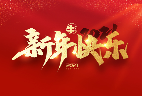 麗水市威儀自動(dòng)化技術(shù)有限公司祝全國(guó)人民2021年新年快樂！